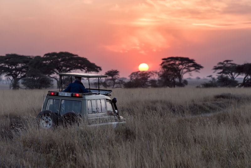 Bush Safari