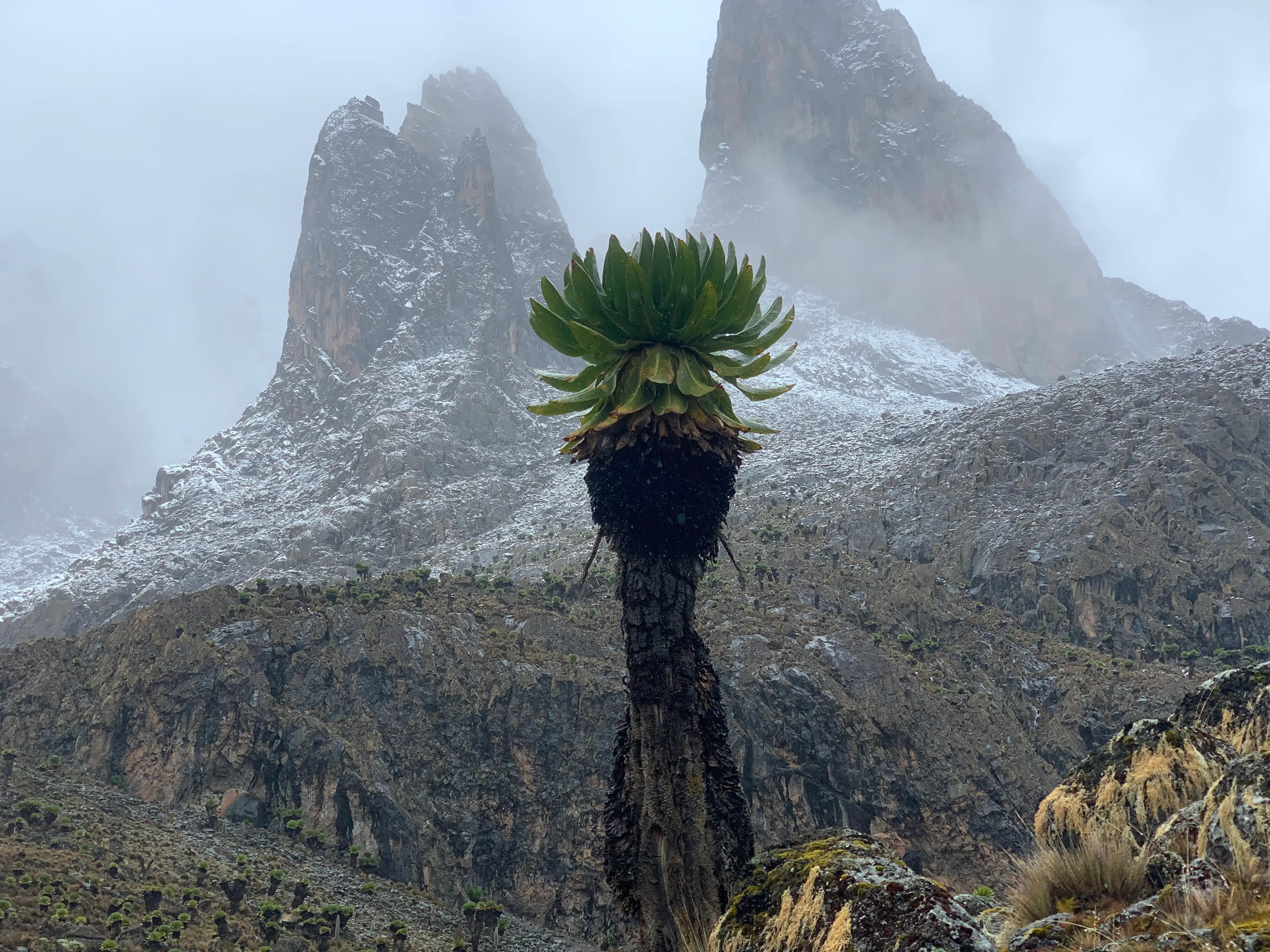 Mount Kenya