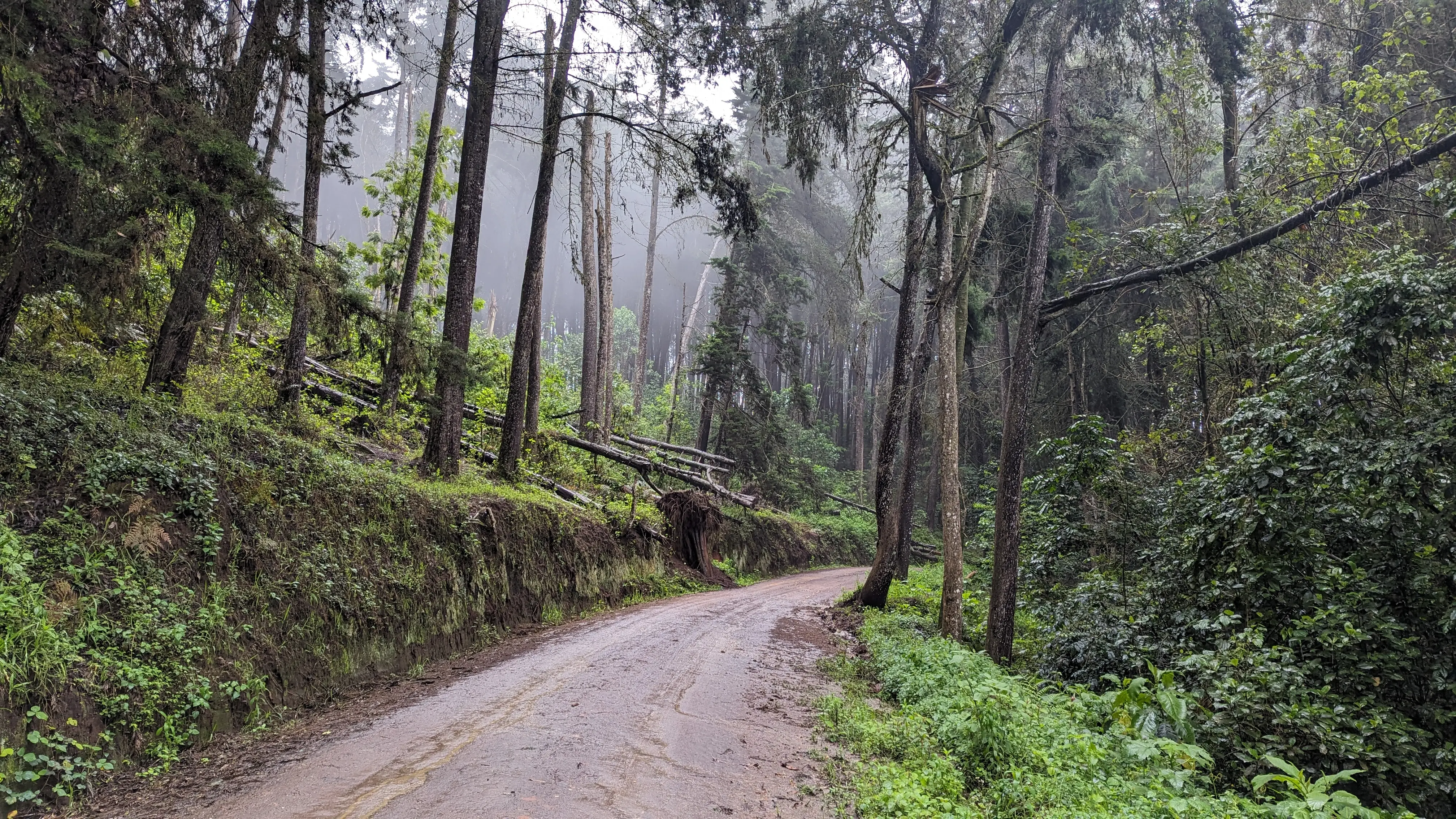 Adventure
