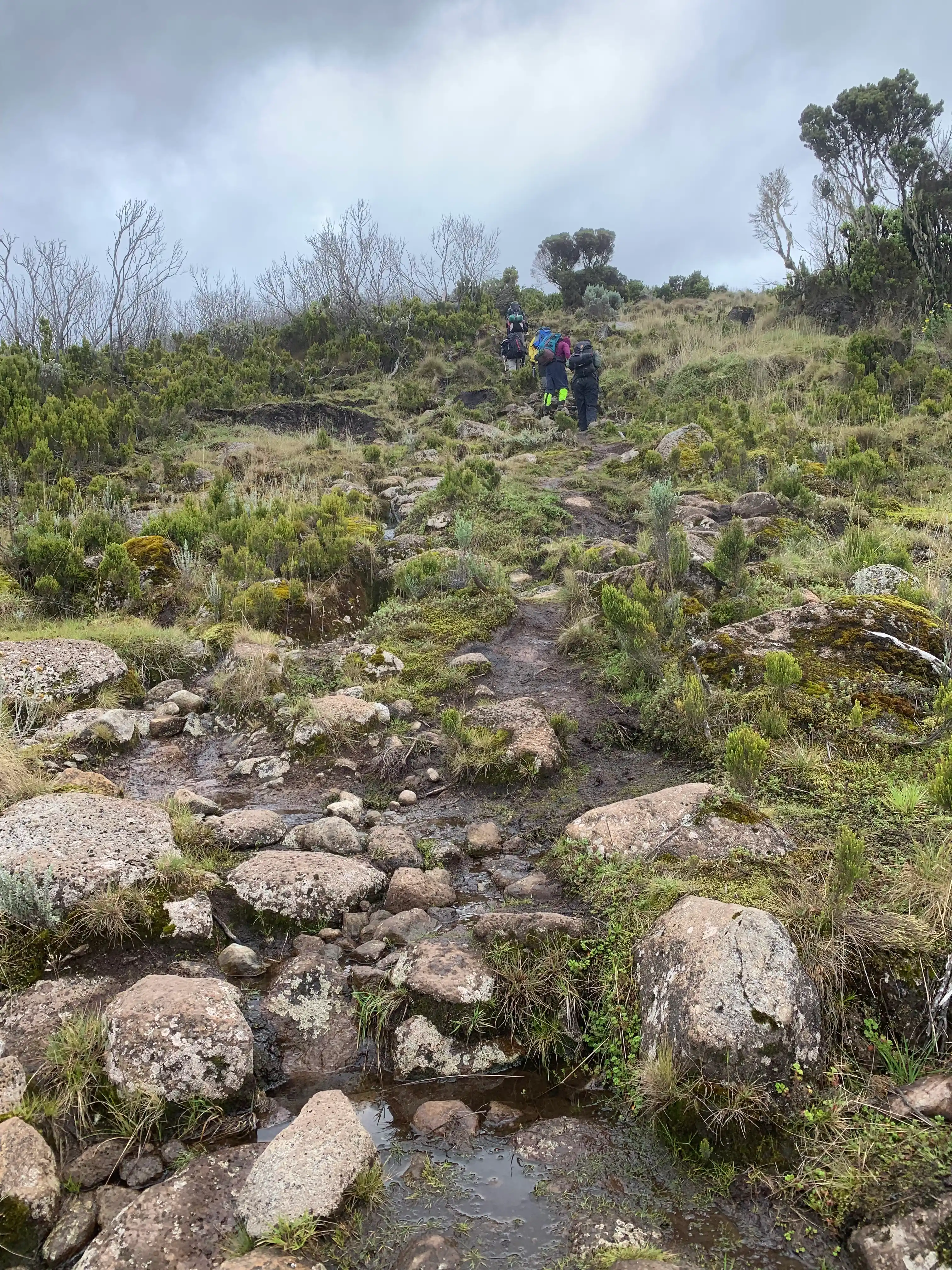 Mount Kenya