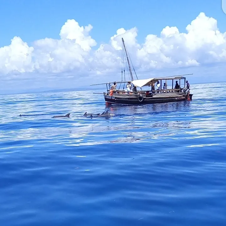 Wasini Island