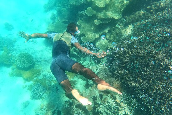 Snorkeling